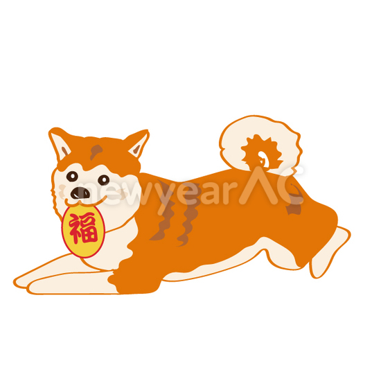 犬19